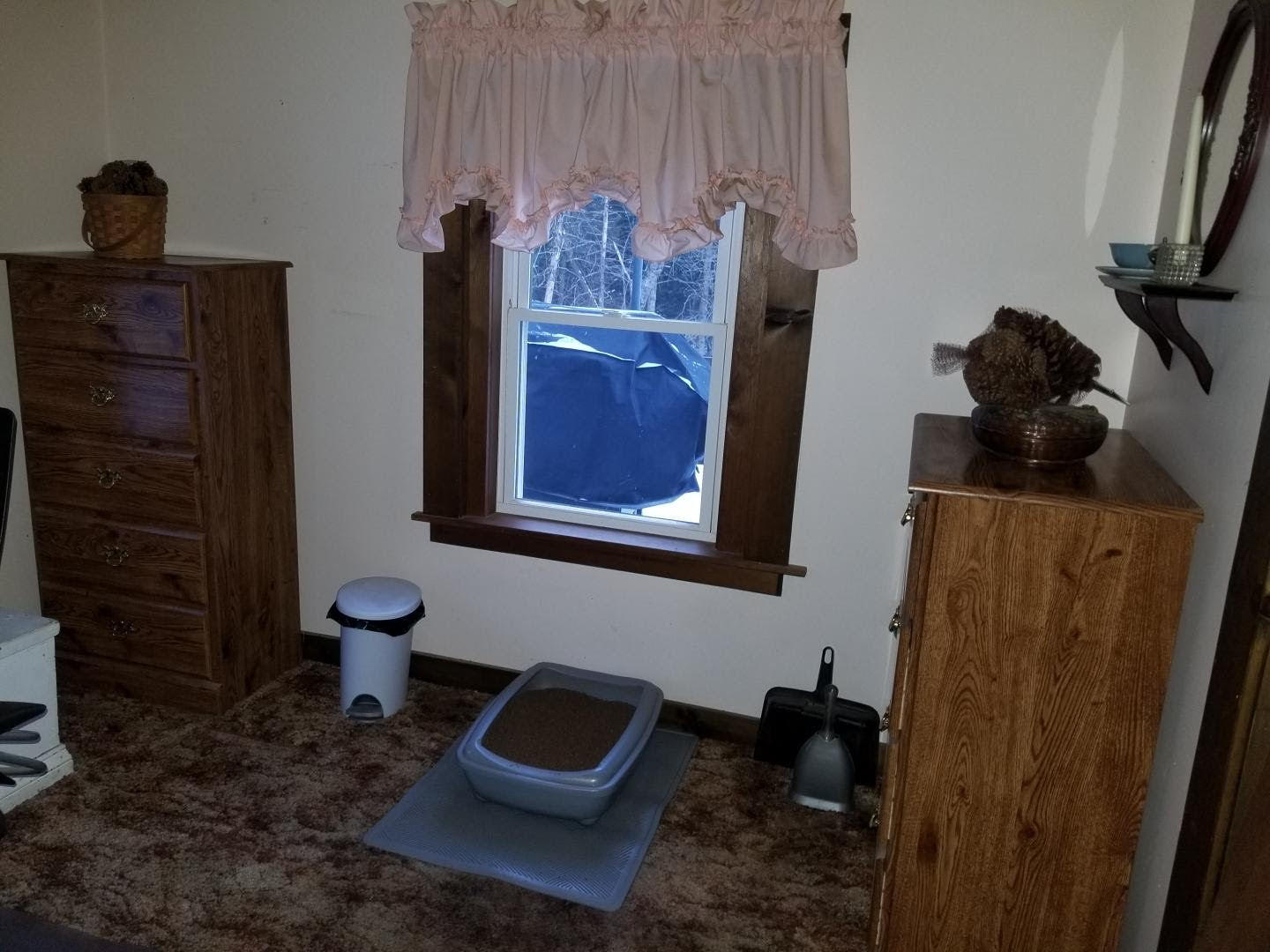 41 Fredericks Corner Road Norridgewock, ME 04957 - Photo 25 of 58 unnamed (6)