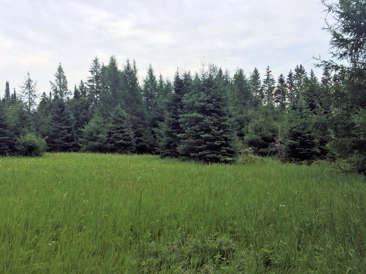 75734 McKinney Road Butternut, WI 54514 - Photo 8 of 11 Gallery Image 8