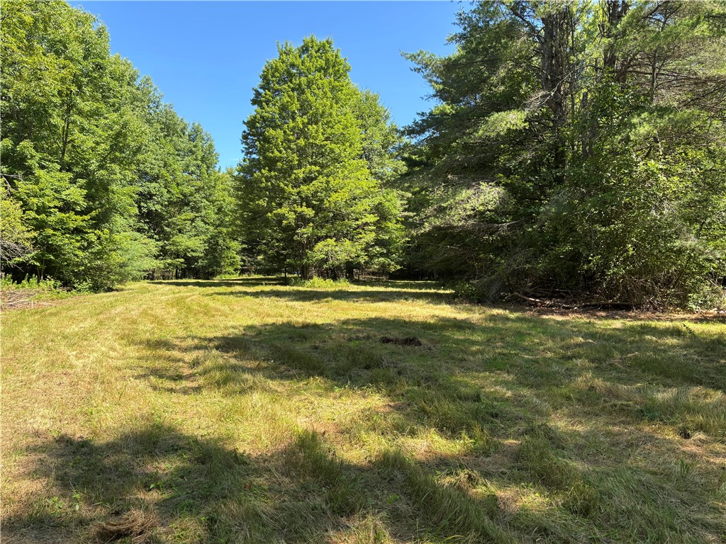 0 Cronin Road Schenevus, NY 12155 - Photo 13 of 22 Gallery Image 13