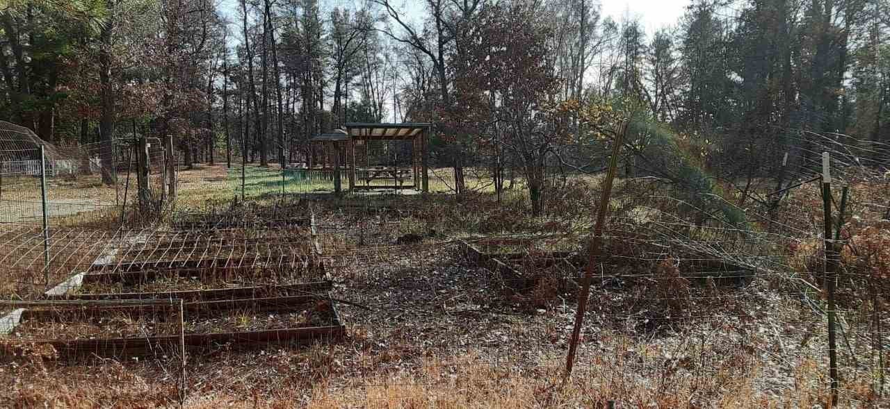 3452 South Morrison Road West Branch, MI 48661 - Photo 11 of 24 Gallery Image 11