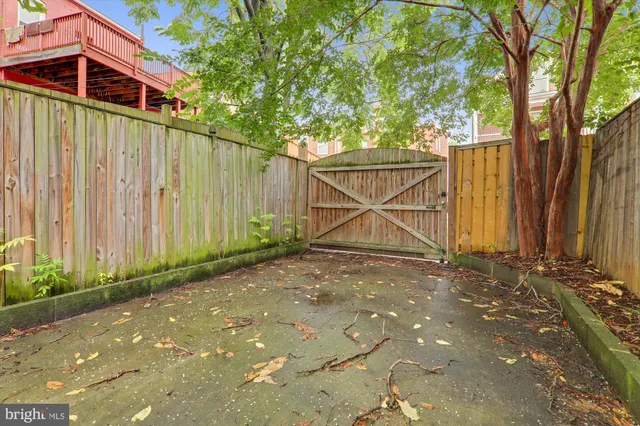 a under a large tree