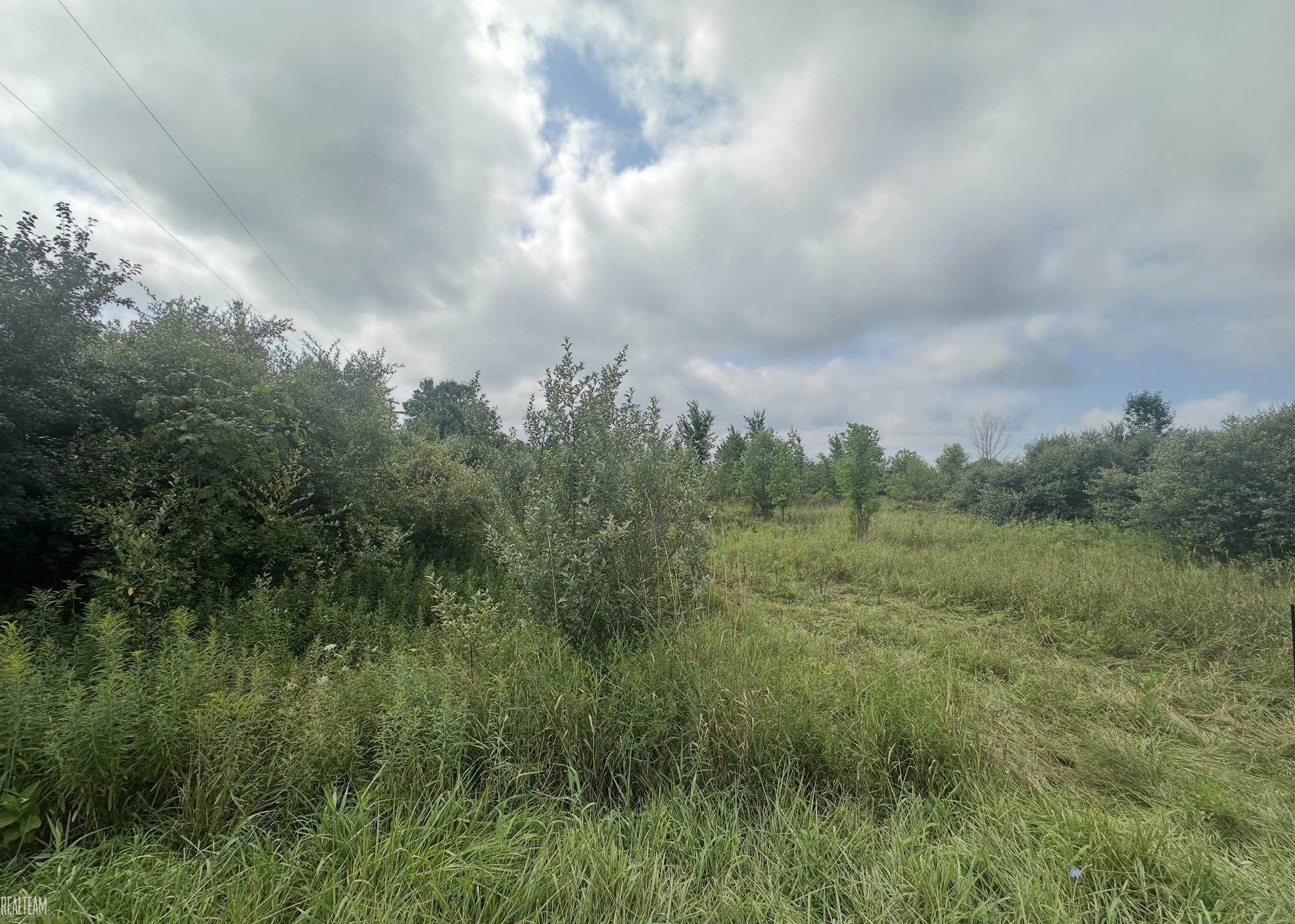 0 Petz Road Capac, MI 48014 - Photo 4 of 5