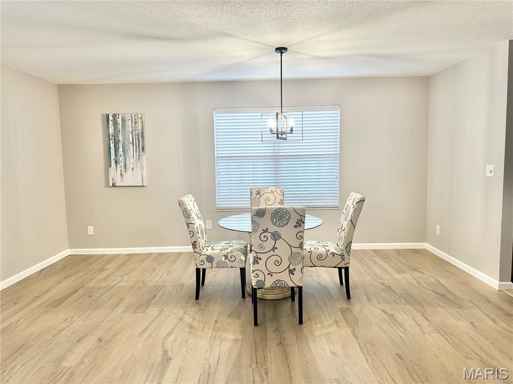 421 Eagle Terrace Drive O'Fallon, IL 62269 - Photo 8 of 24