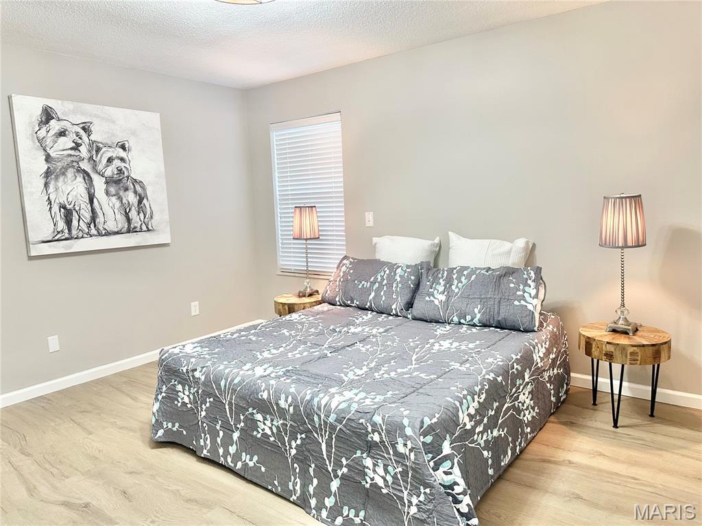 421 Eagle Terrace Drive O'Fallon, IL 62269 - Photo 10 of 24