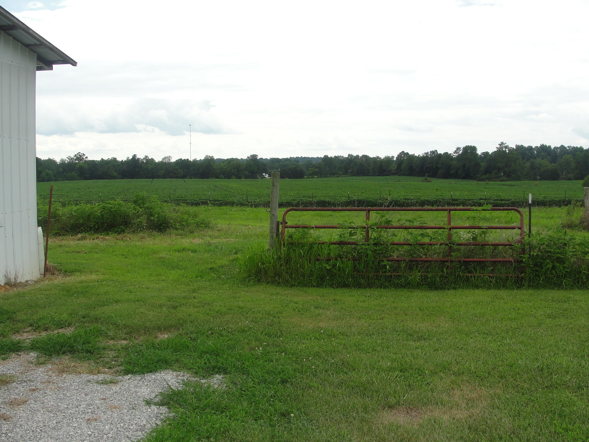 0 Blanche Road Caneyville, KY 42721 - Photo 8 of 17 005