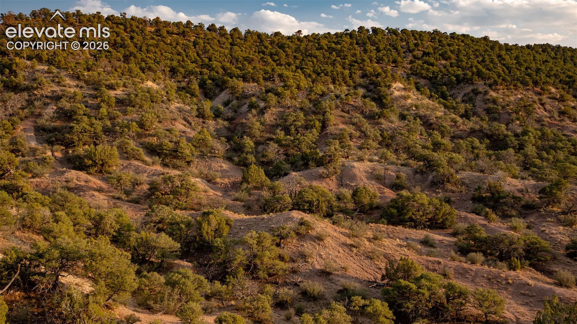 540 County Road Gardner, CO 81040 - Photo 37 of 50 Gallery Image 37