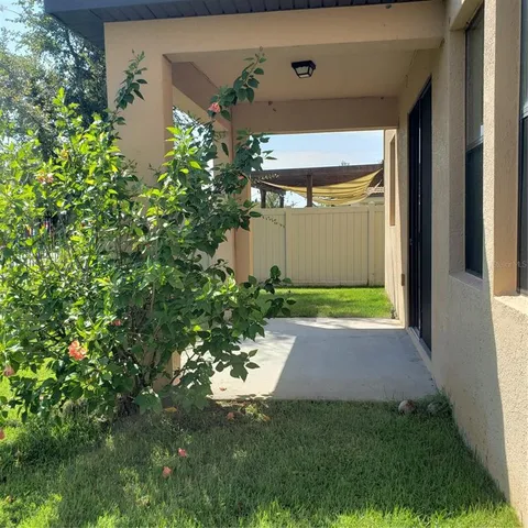 a view of a backyard with plants and trees