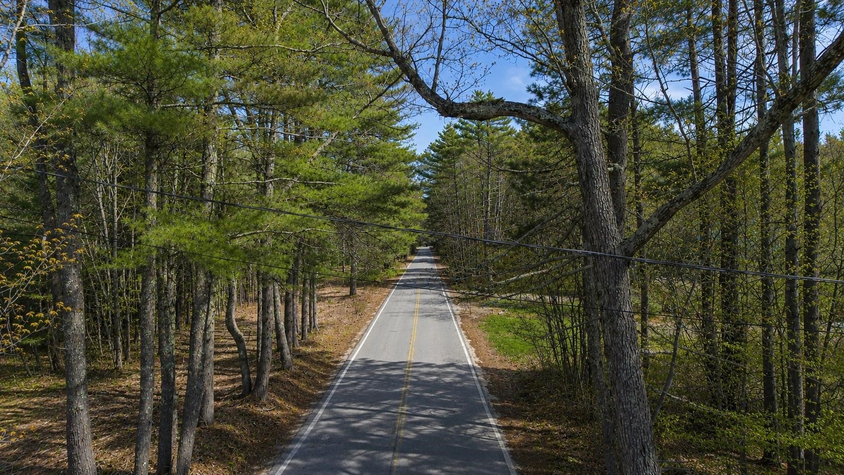 Lot 27.2 Dorrs Corner Road Ossipee, NH 03864 - Photo 9 of 9