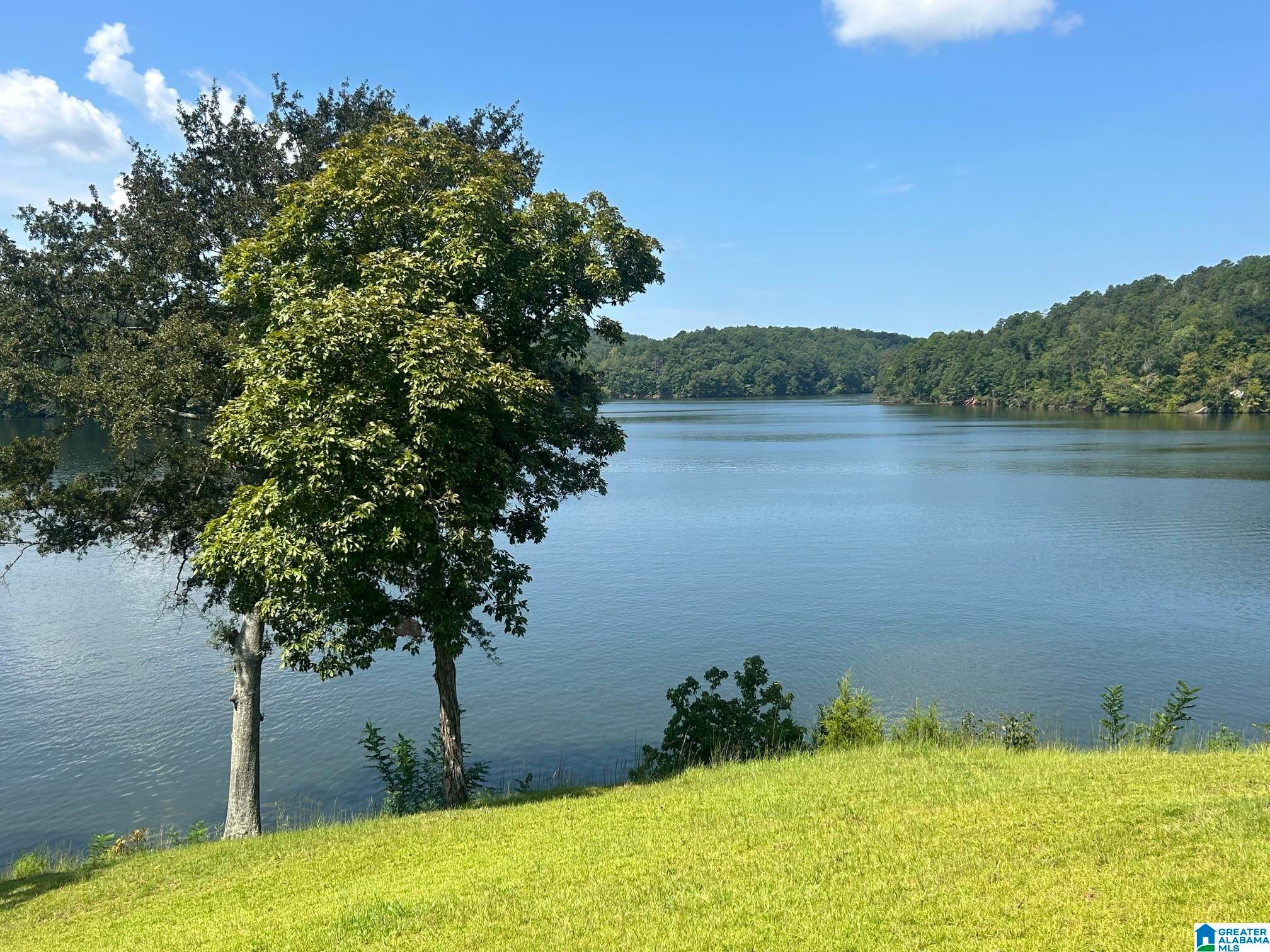 2040 Mohawk Cliff Road Ohatchee, AL 36271 - Photo 21 of 49 Gallery Image 21