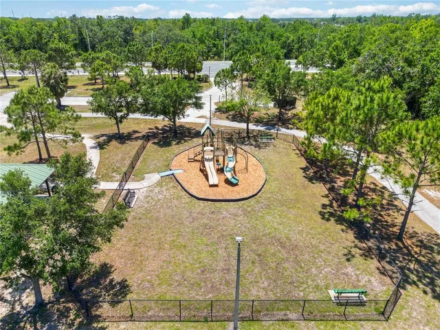 a view of a backyard with palm trees