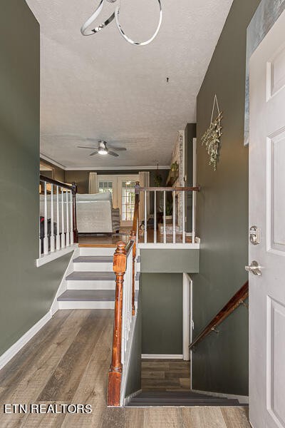 4317 Raj Road Knoxville, TN 37921 - Photo 18 of 35 Gallery Image 18