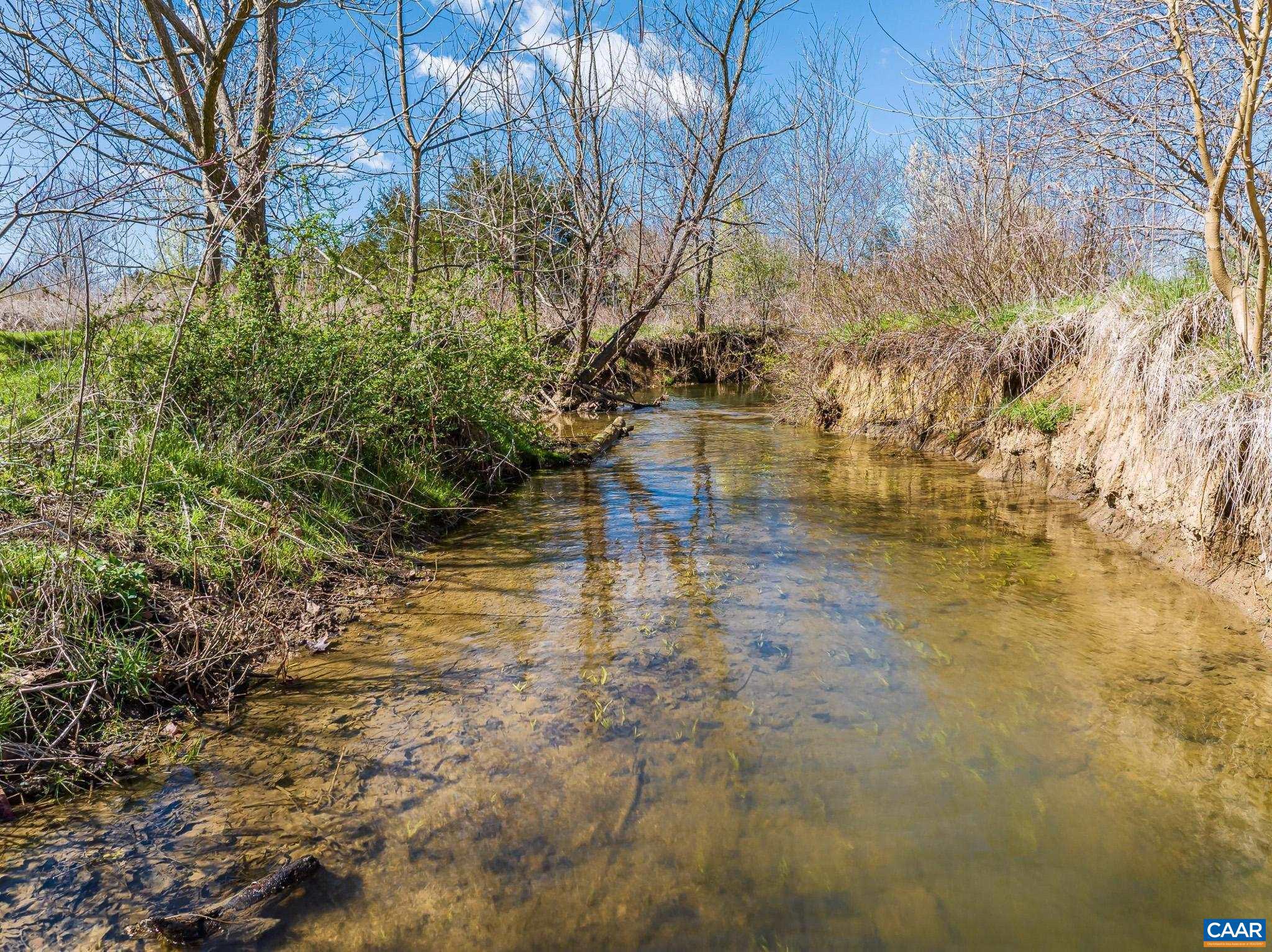 1732 Hermitage Road Waynesboro, VA 22980 - Photo 46 of 56