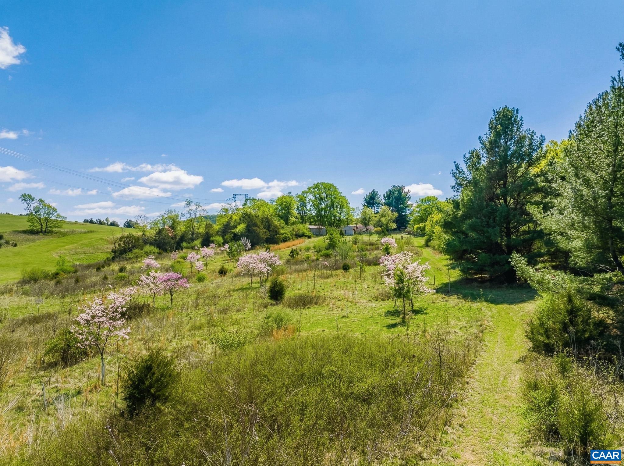 1732 Hermitage Road Waynesboro, VA 22980 - Photo 51 of 56