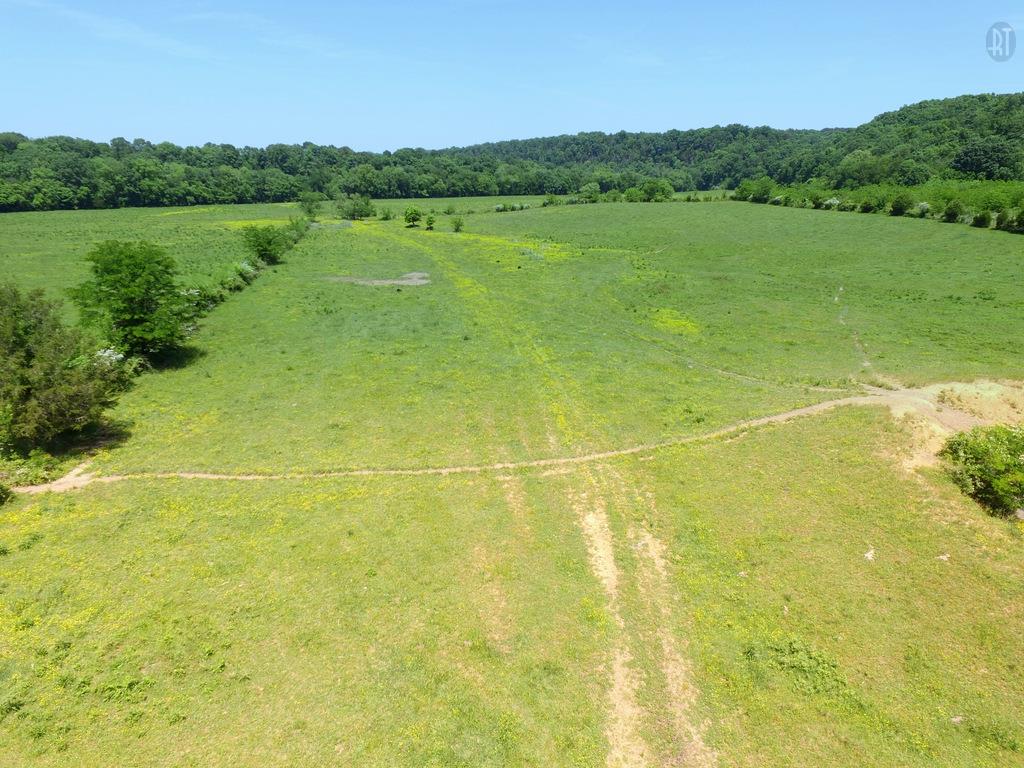 0 Thomasson Road Centerville, TN 37033 - Photo 13 of 14 Gallery Image 13