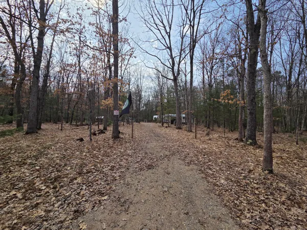 $104,900 | 0 6 6 Mile Road, Irons, MI 49644