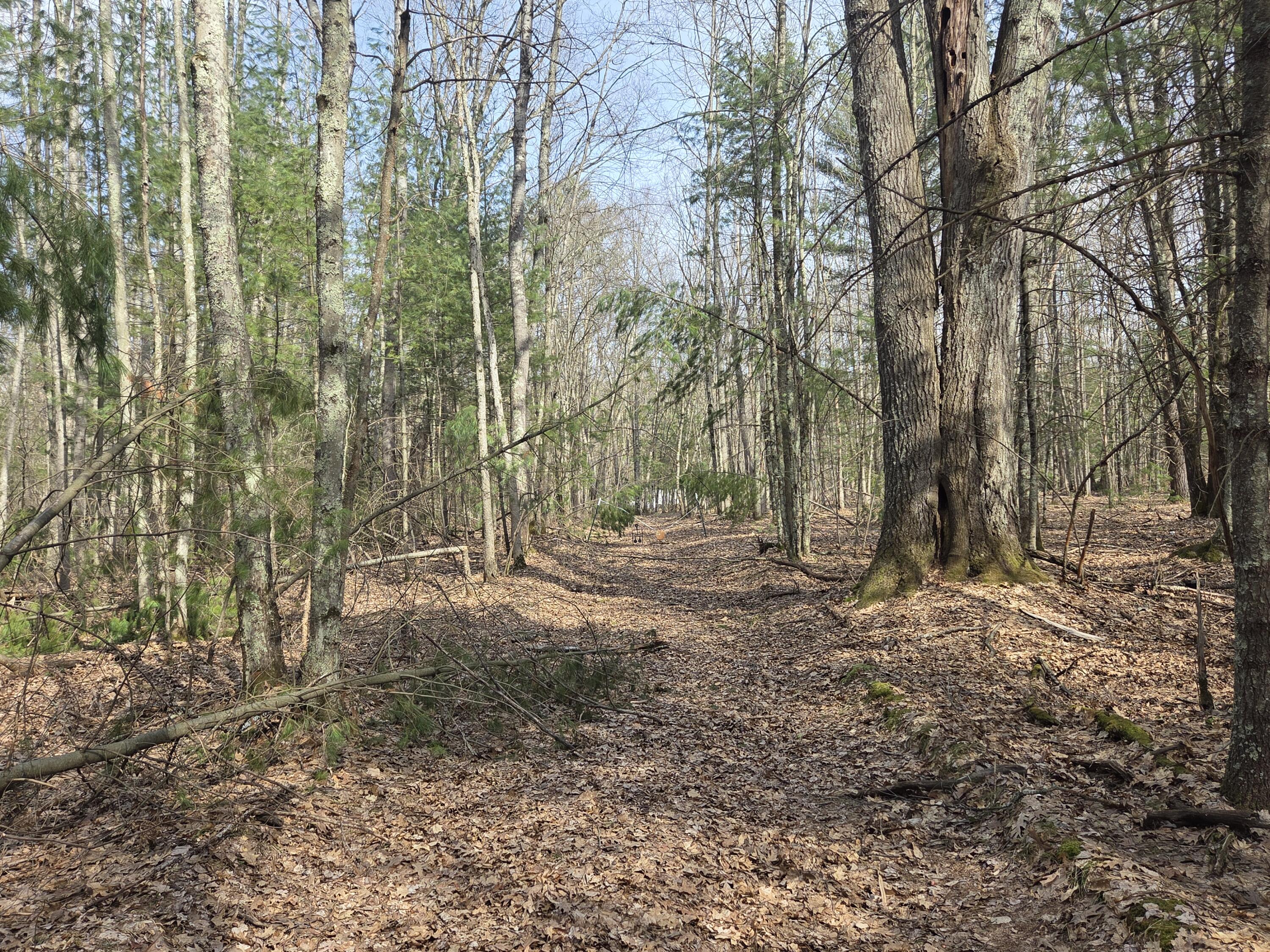0 6 6 Mile Road Irons, MI 49644 - Photo 11 of 24 20260330_160849