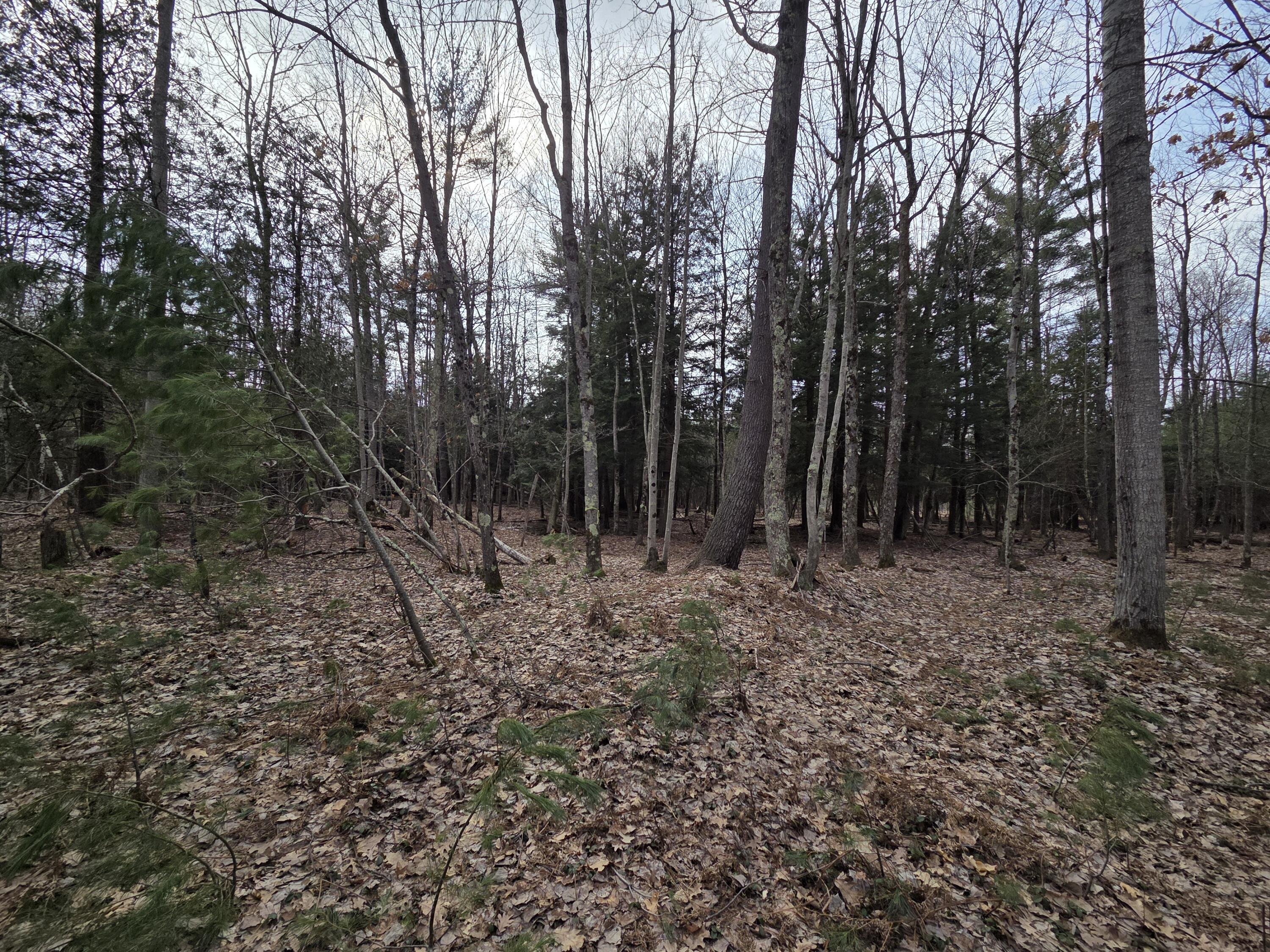 0 6 6 Mile Road Irons, MI 49644 - Photo 12 of 24 20260330_164017