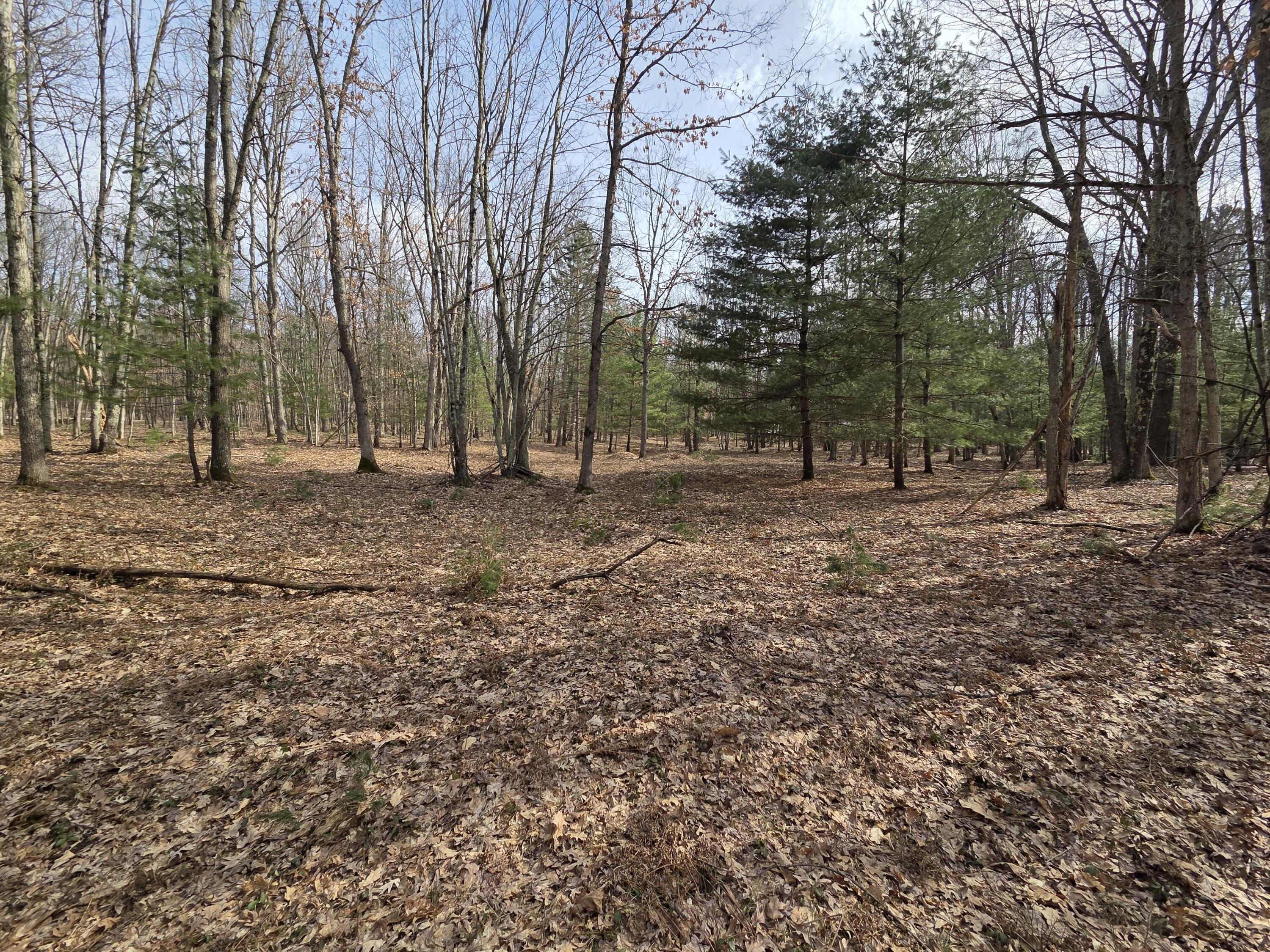 0 6 6 Mile Road Irons, MI 49644 - Photo 15 of 24 20260330_162743