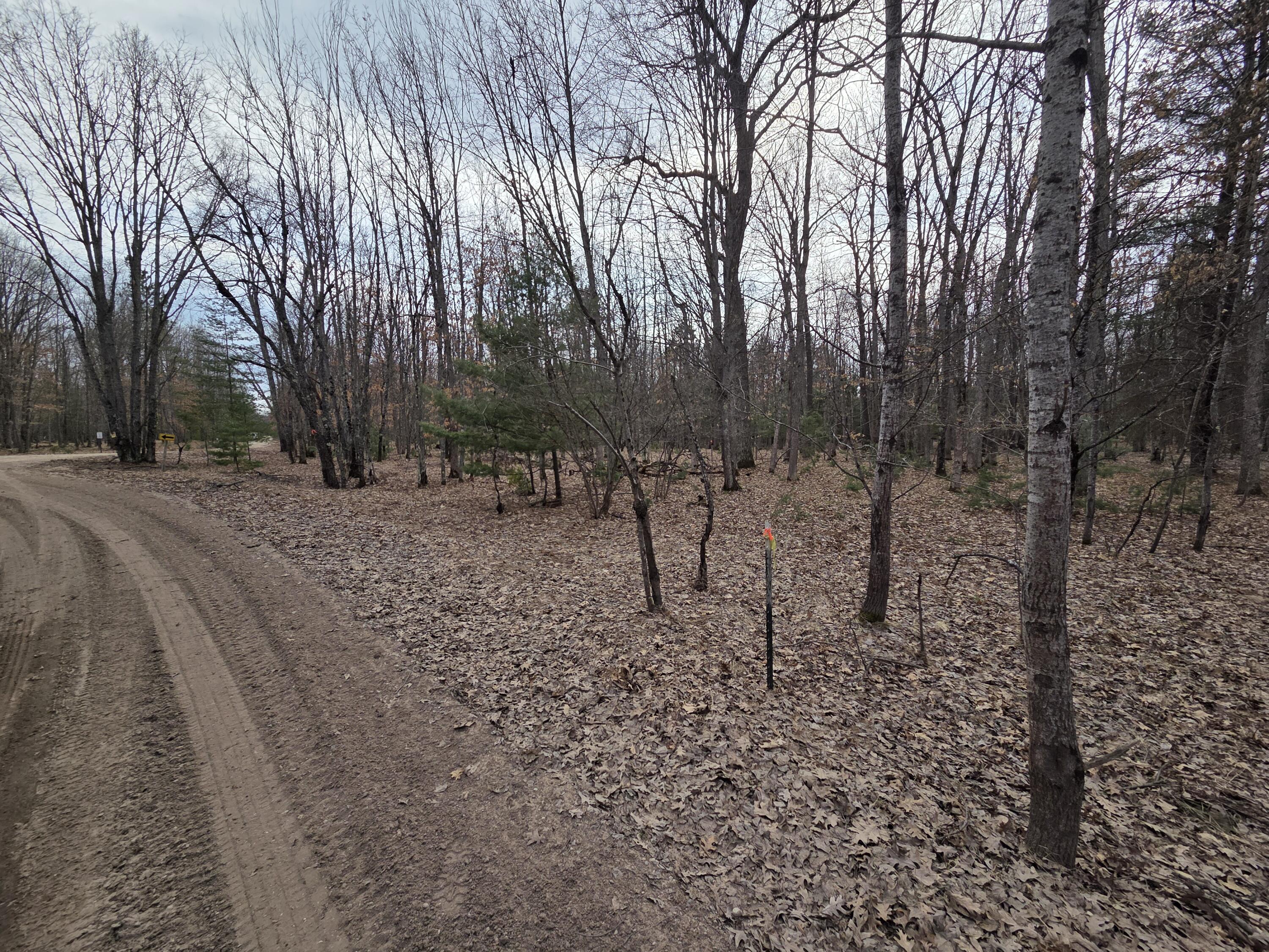 0 6 6 Mile Road Irons, MI 49644 - Photo 22 of 24 20260330_163431