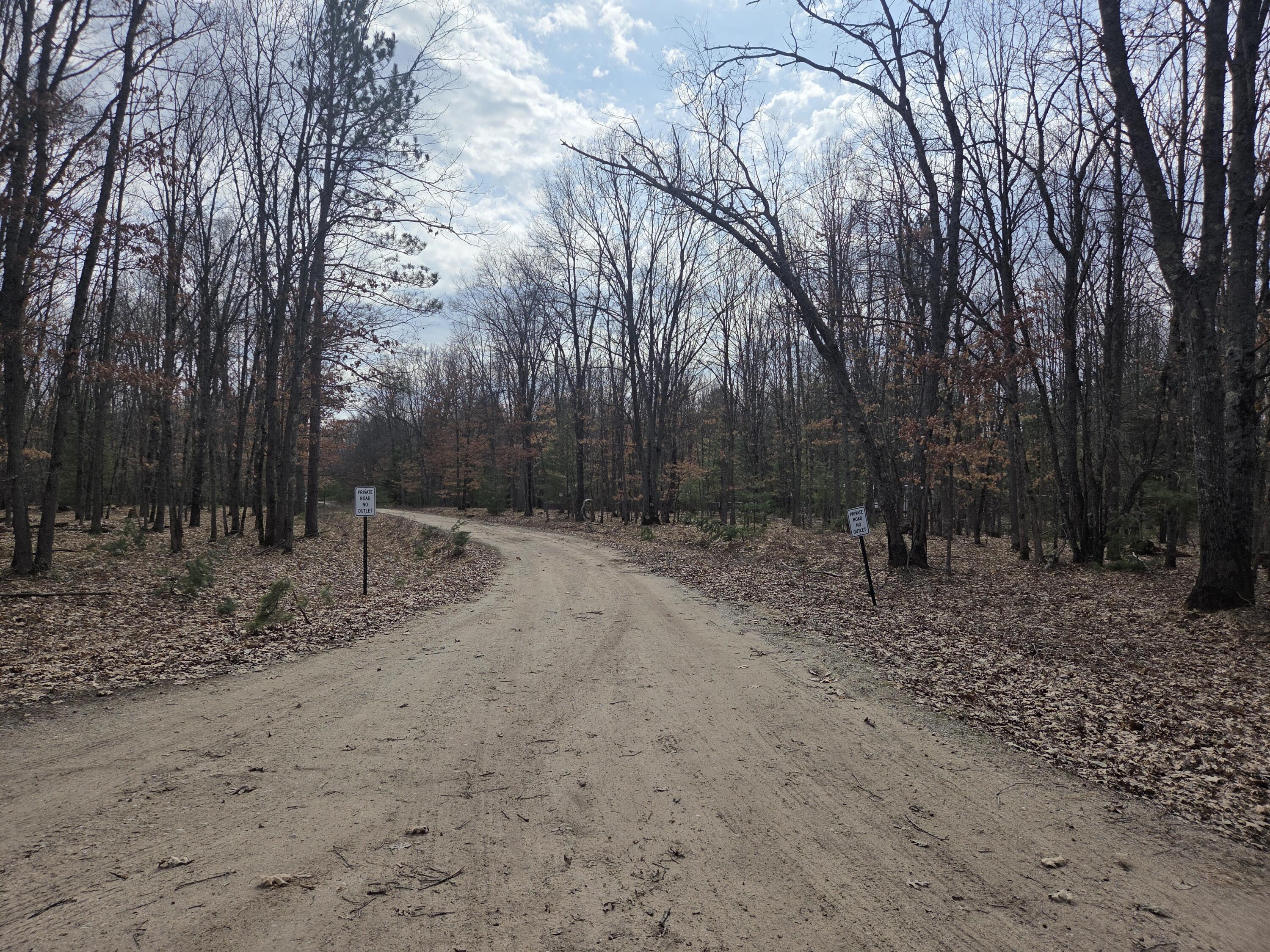0 6 6 Mile Road Irons, MI 49644 - Photo 23 of 24 20260330_153658