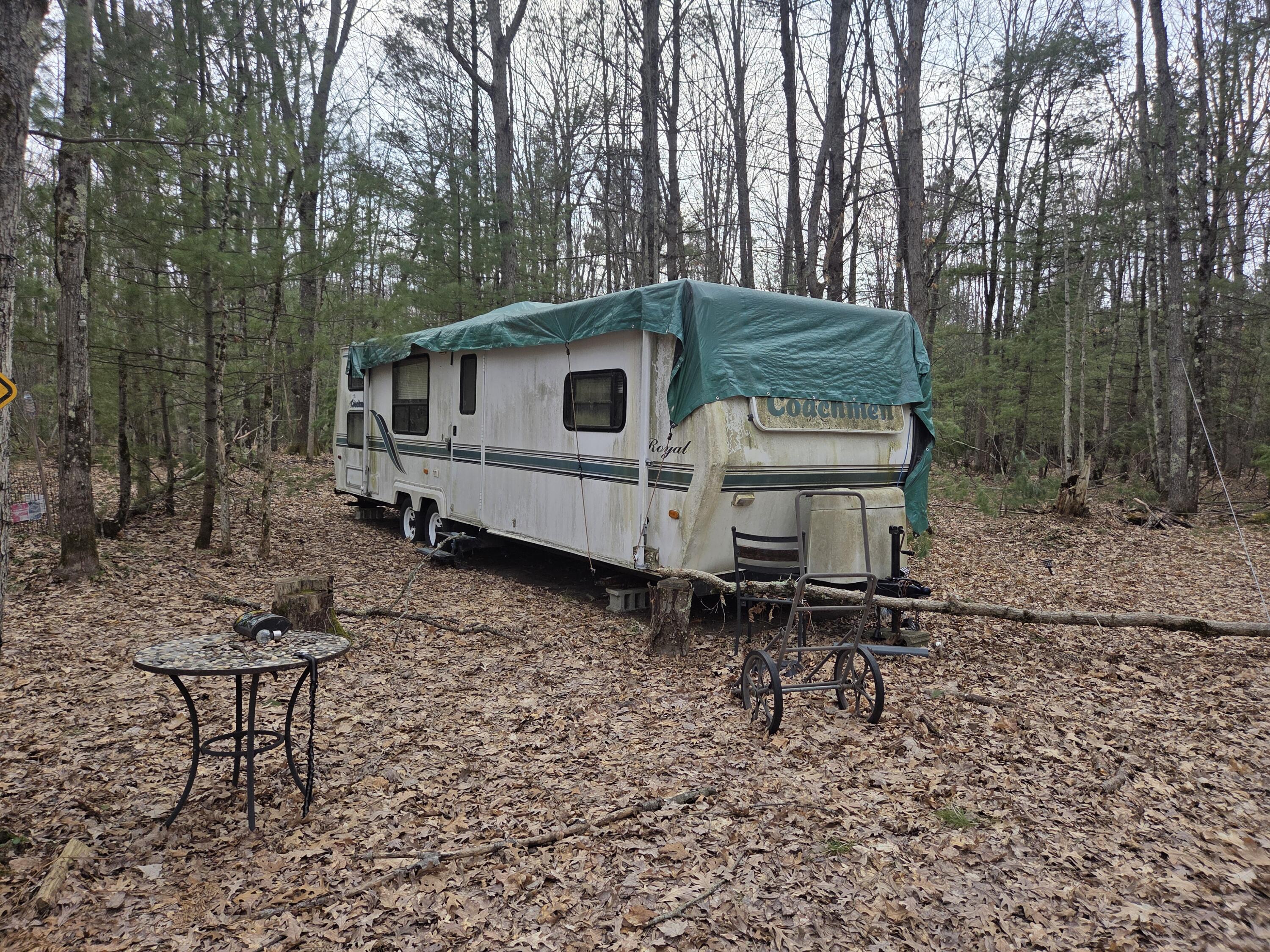 0 6 6 Mile Road Irons, MI 49644 - Photo 8 of 24 20260330_163727