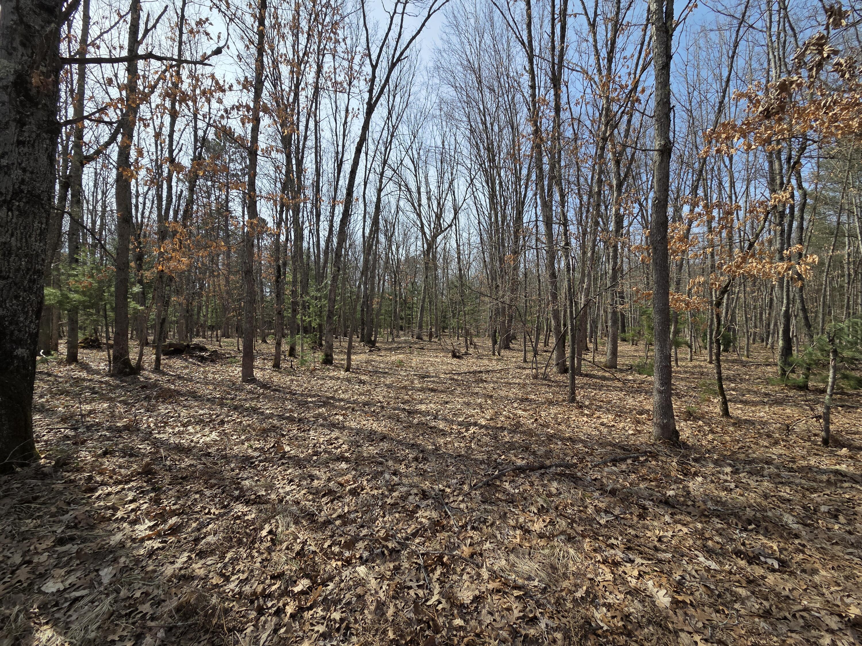 0 6 6 Mile Road Irons, MI 49644 - Photo 9 of 24 20260330_155133