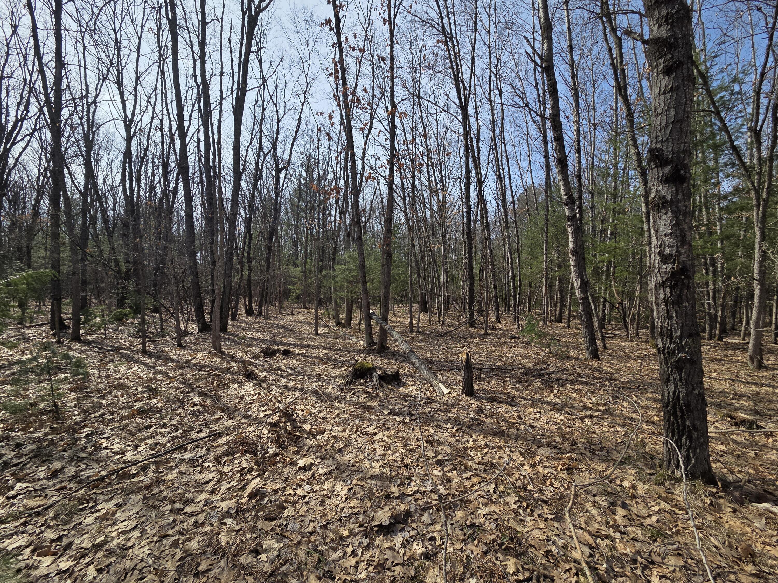 0 6 6 Mile Road Irons, MI 49644 - Photo 10 of 24 20260330_155934