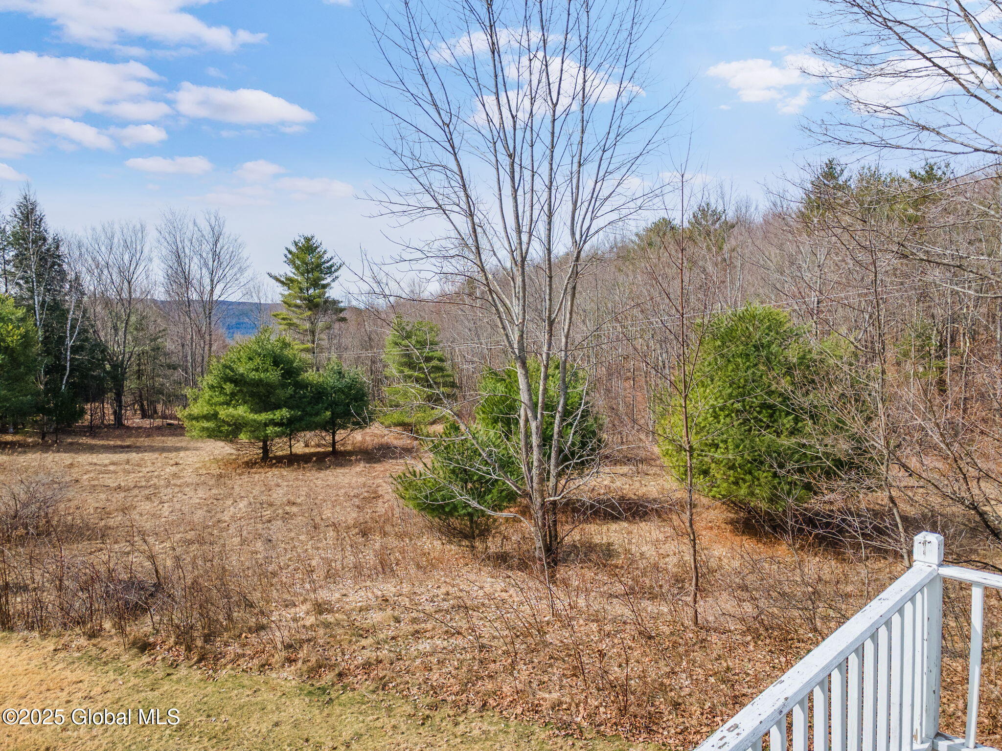 1330 Canady Hill Road Middleburgh, NY 12122 - Photo 45 of 61 46-1330CanadyHillRd_46