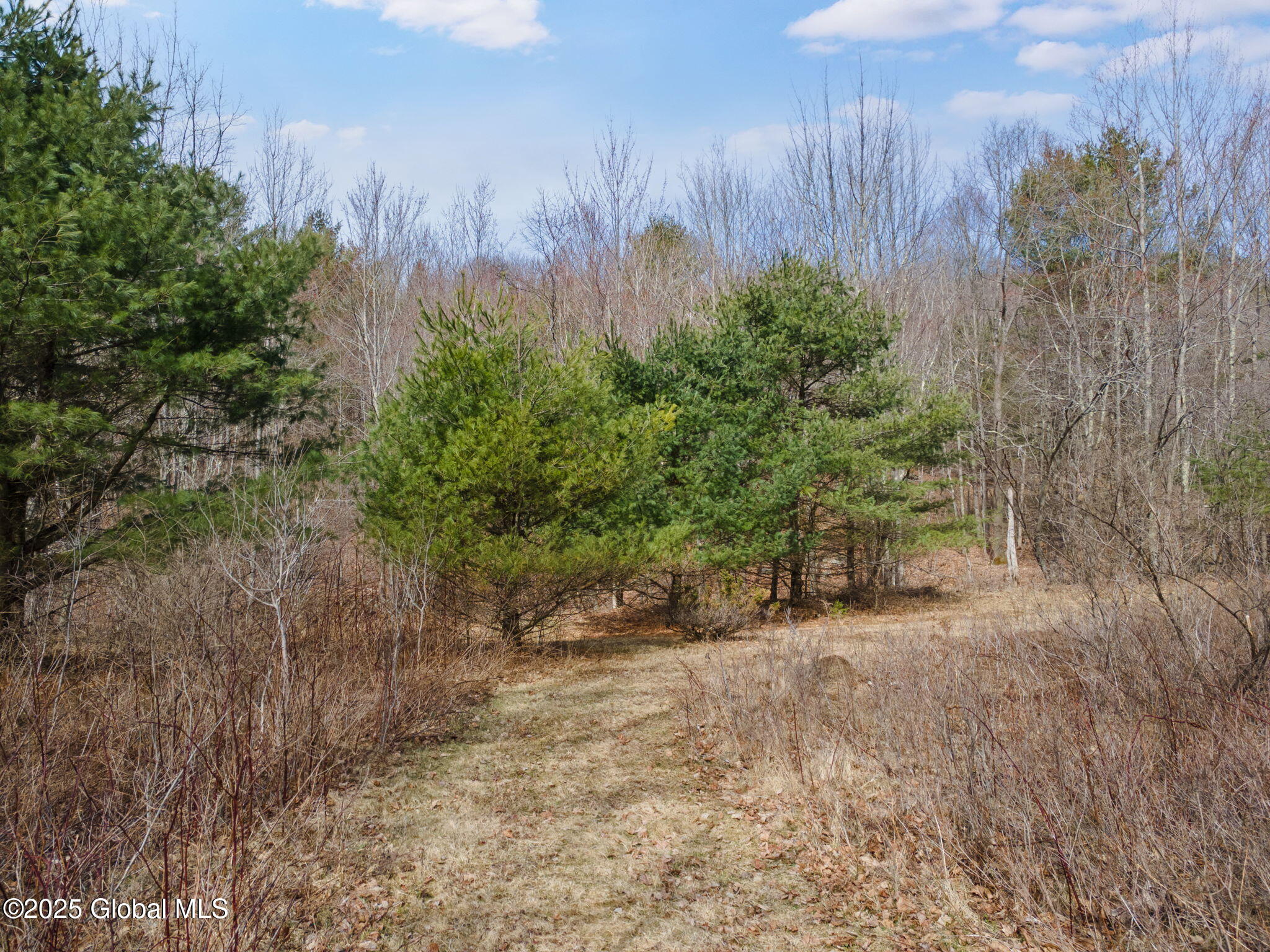 1330 Canady Hill Road Middleburgh, NY 12122 - Photo 47 of 61 48-1330CanadyHillRd_48
