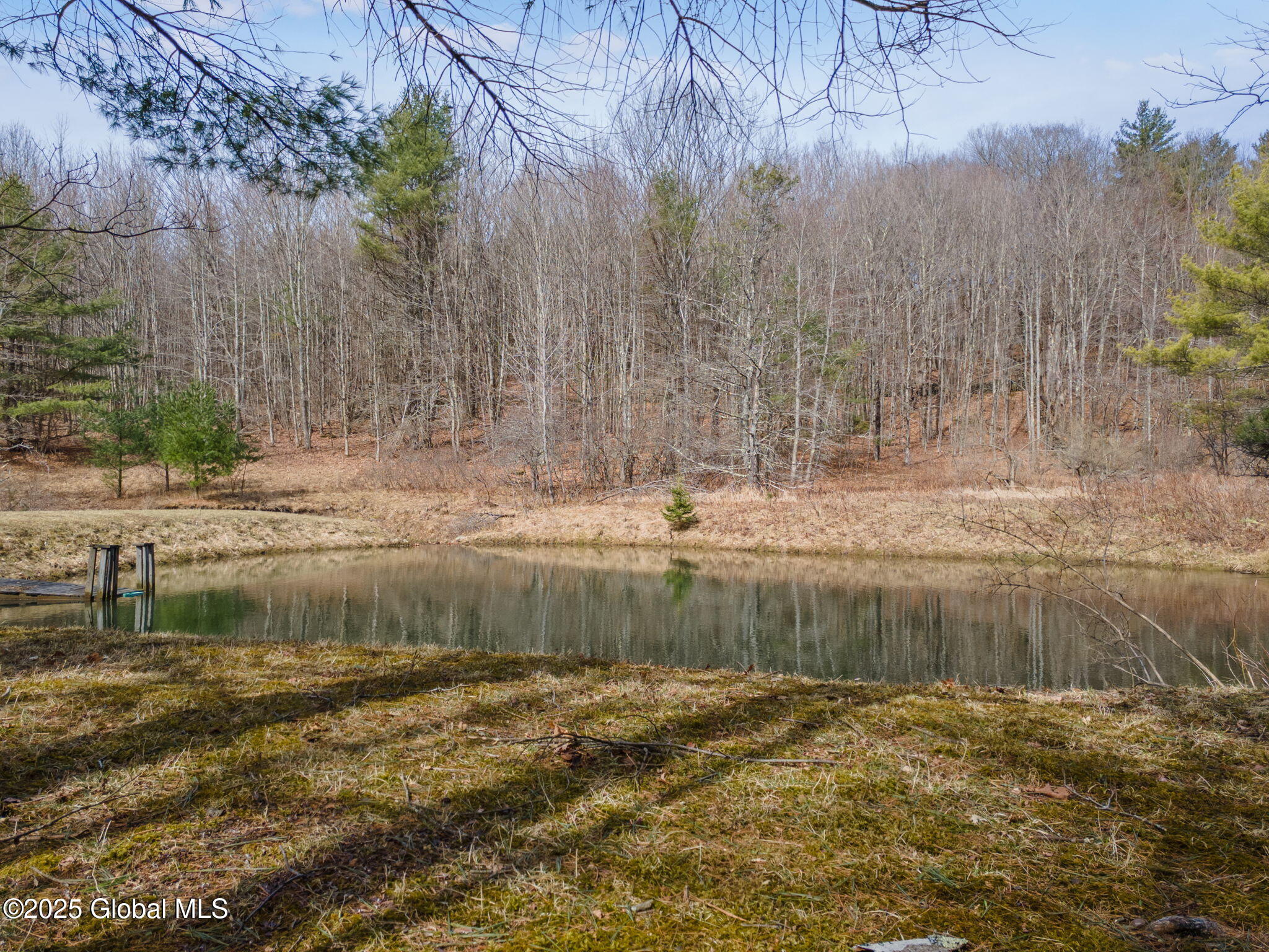 1330 Canady Hill Road Middleburgh, NY 12122 - Photo 48 of 61 49-1330CanadyHillRd_49