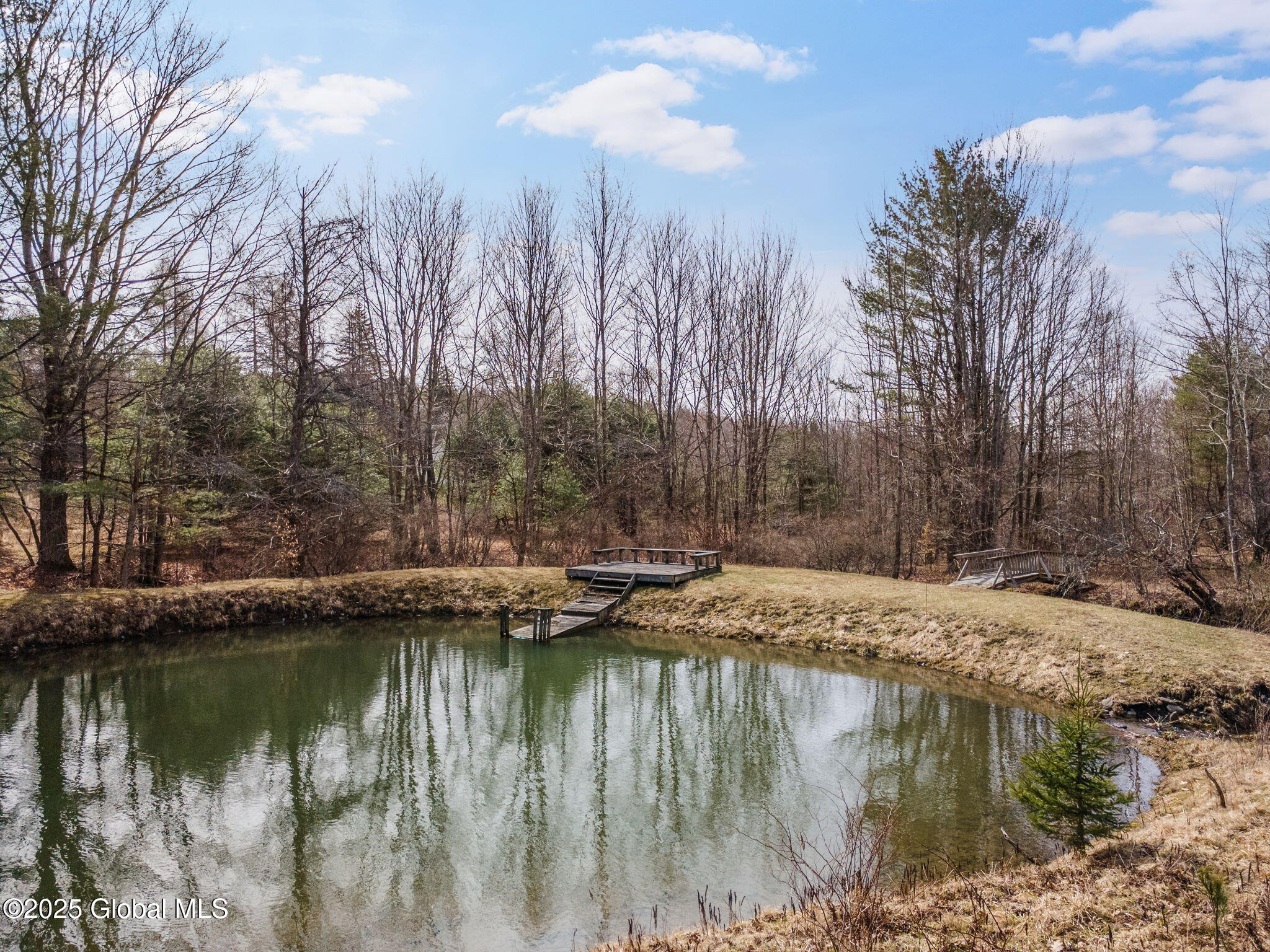 1330 Canady Hill Road Middleburgh, NY 12122 - Photo 49 of 61 50-1330CanadyHillRd_50