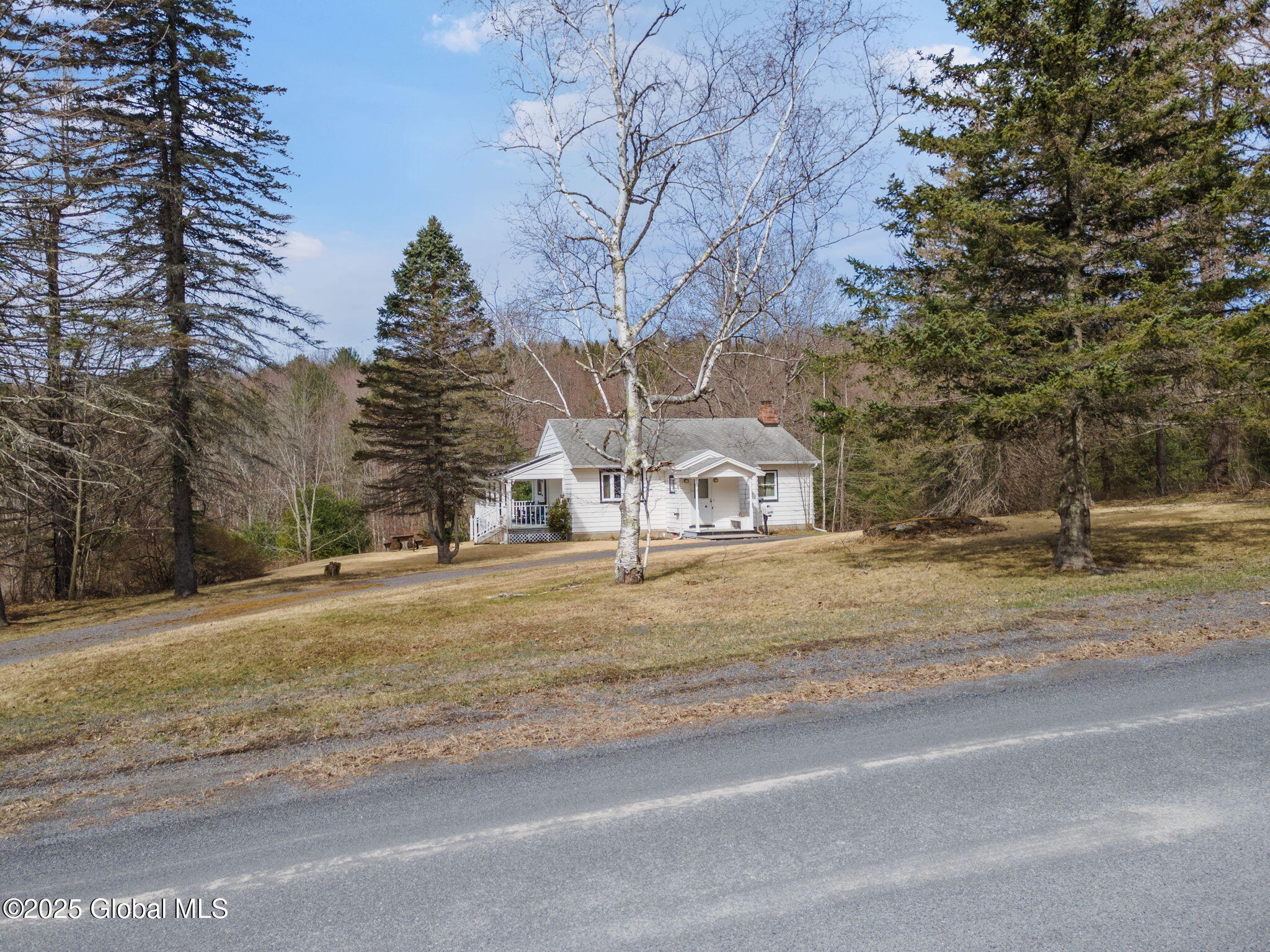 1330 Canady Hill Road Middleburgh, NY 12122 - Photo 5 of 61 3-1330CanadyHillRd_03