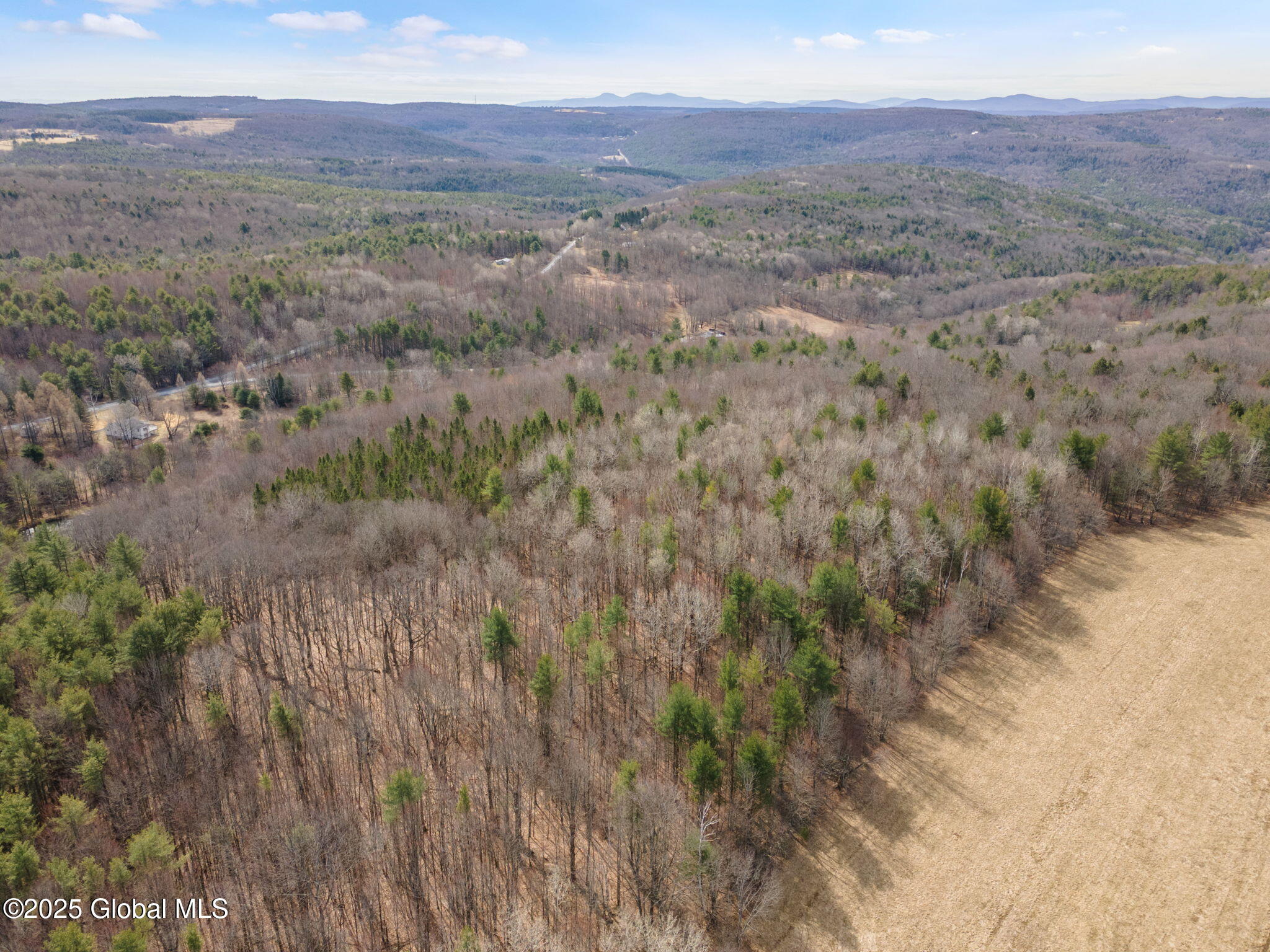 1330 Canady Hill Road Middleburgh, NY 12122 - Photo 57 of 61 58-1330CanadyHillRd_58