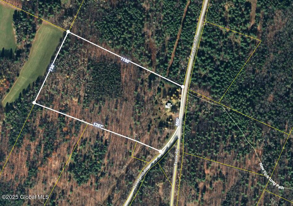 1330 Canady Hill Road Middleburgh, NY 12122 - Photo 61 of 61 Aerial