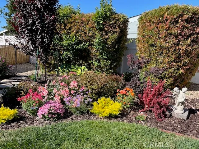 a view of a backyard with potted plants and a fountain