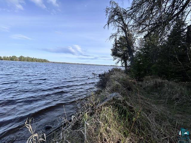 Tbd Tbd Moonlit Island Makinen, MN 55763 - Photo 8 of 23