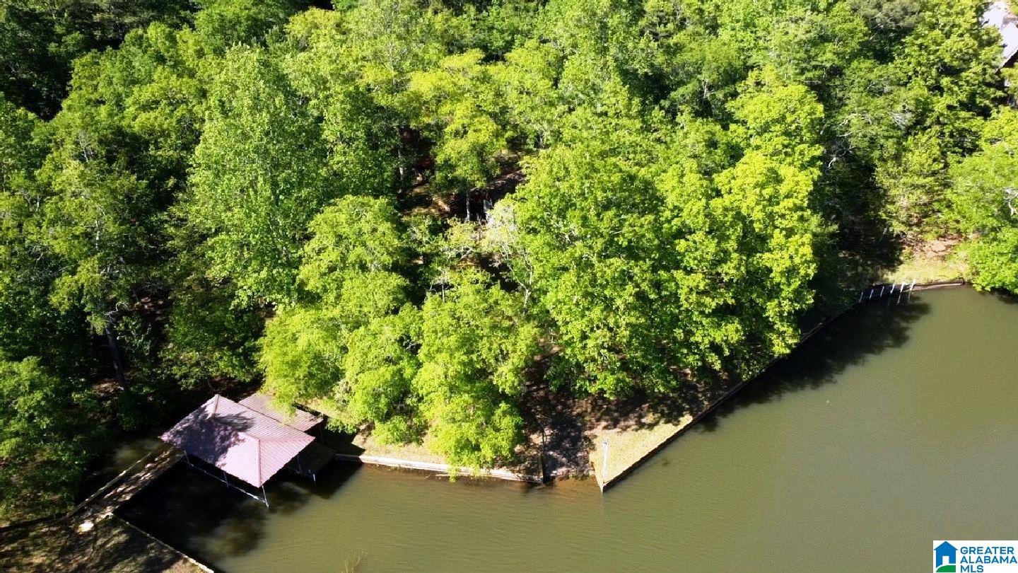 244 County Road 2011 Delta, AL 36258 - Photo 6 of 29