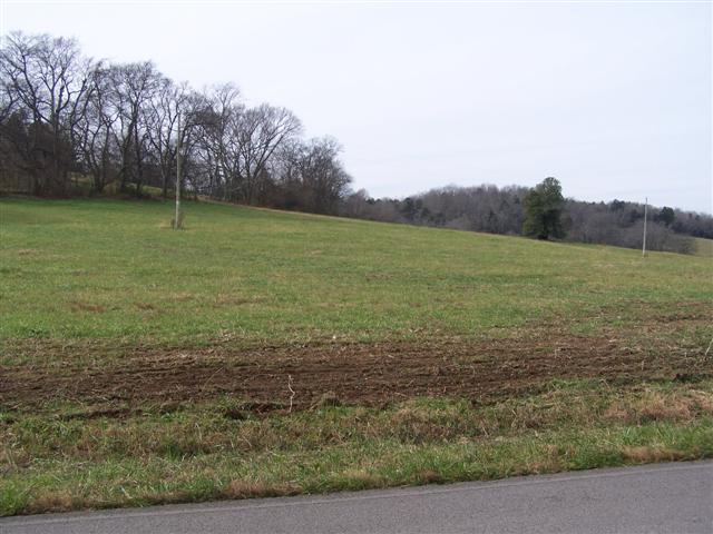 7 Abernathy Road Lynnville, TN 38472 - Photo 5 of 8 Gallery Image 5