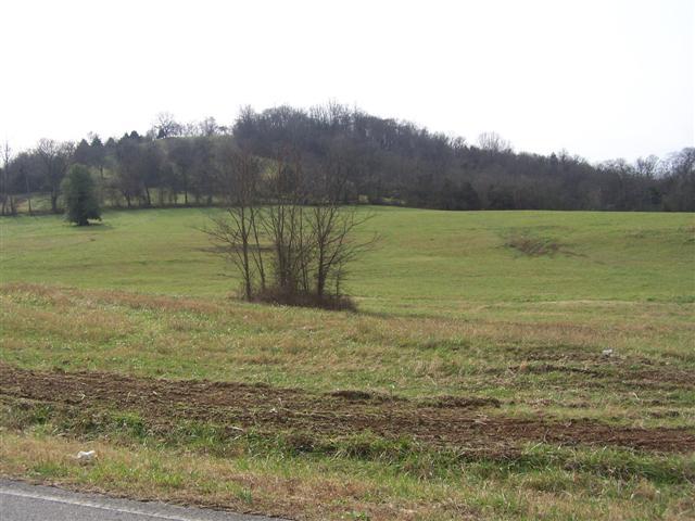 7 Abernathy Road Lynnville, TN 38472 - Photo 6 of 8 Gallery Image 6