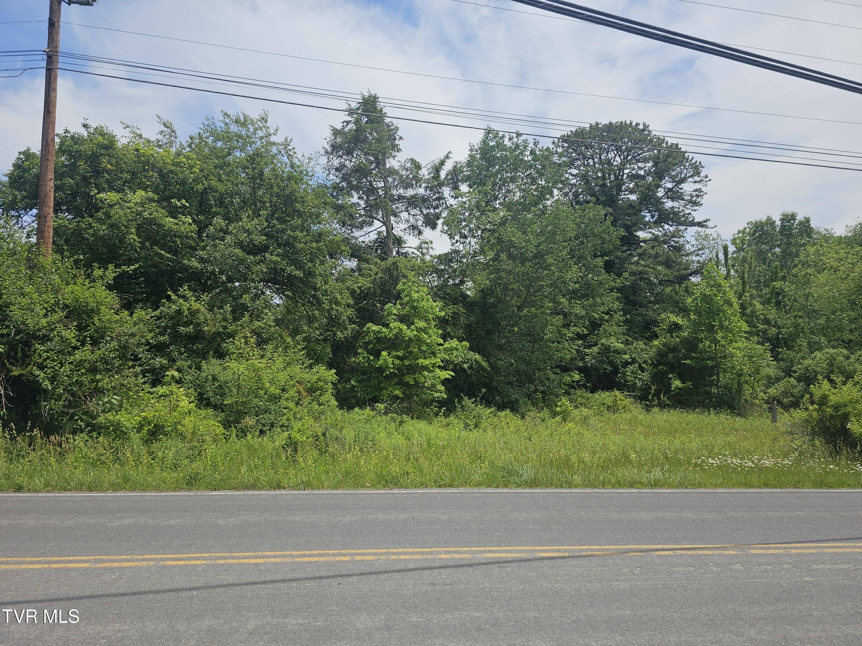 Tbd Hurricane Road Wise, VA 24293 - Photo 4 of 14 road frontage