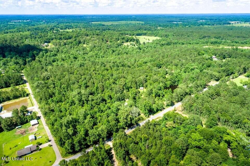 0 Ben Thompson Road Moselle, MS 39459 - Photo 3 of 5 Drone View 4