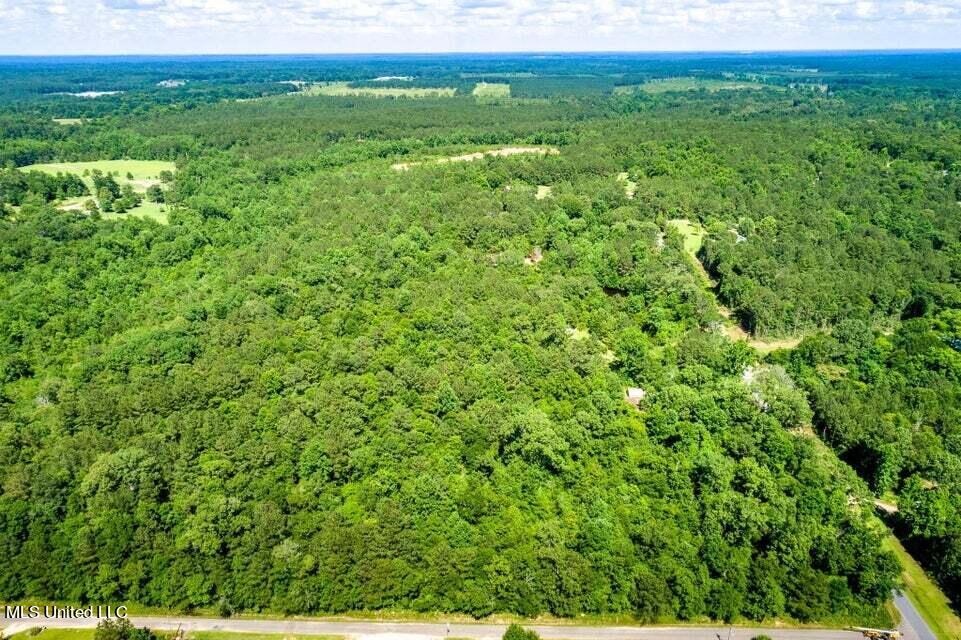 0 Ben Thompson Road Moselle, MS 39459 - Photo 4 of 5 Drone View 5