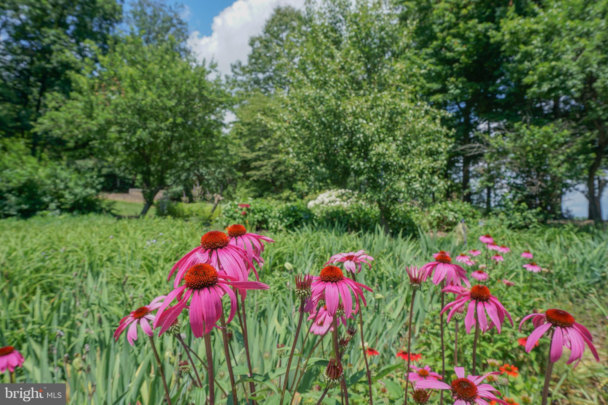 4815 Zeiglers Church Road Spring Grove, PA 17362 - Photo 101 of 126 a view of a flower arrangement in a yard