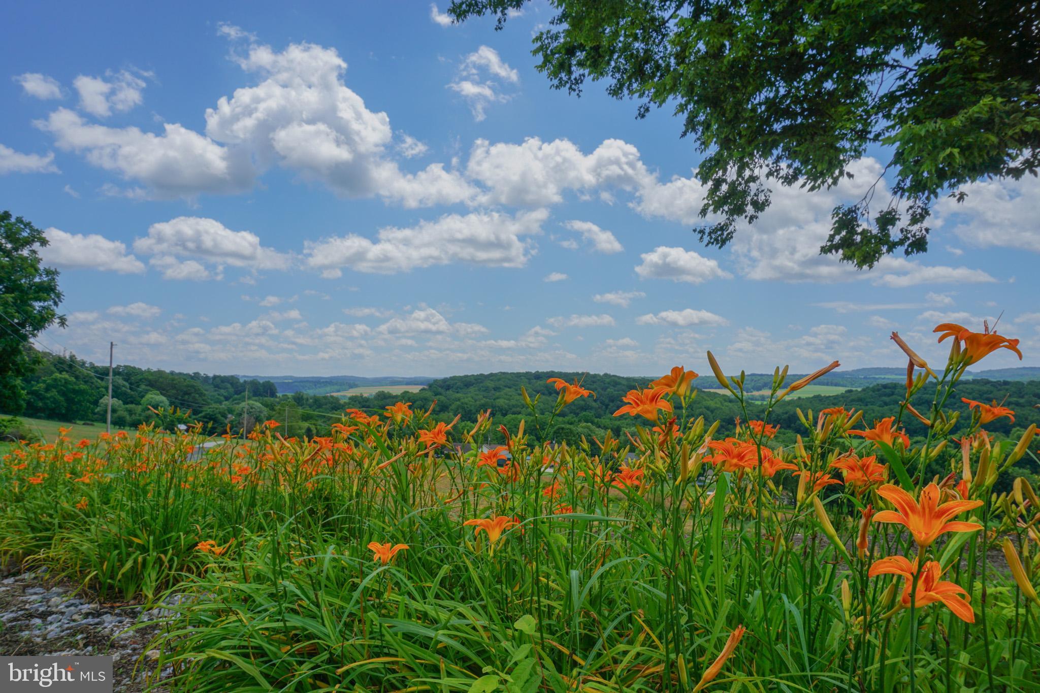 4815 Zeiglers Church Road Spring Grove, PA 17362 - Photo 114 of 126 a view of a lake