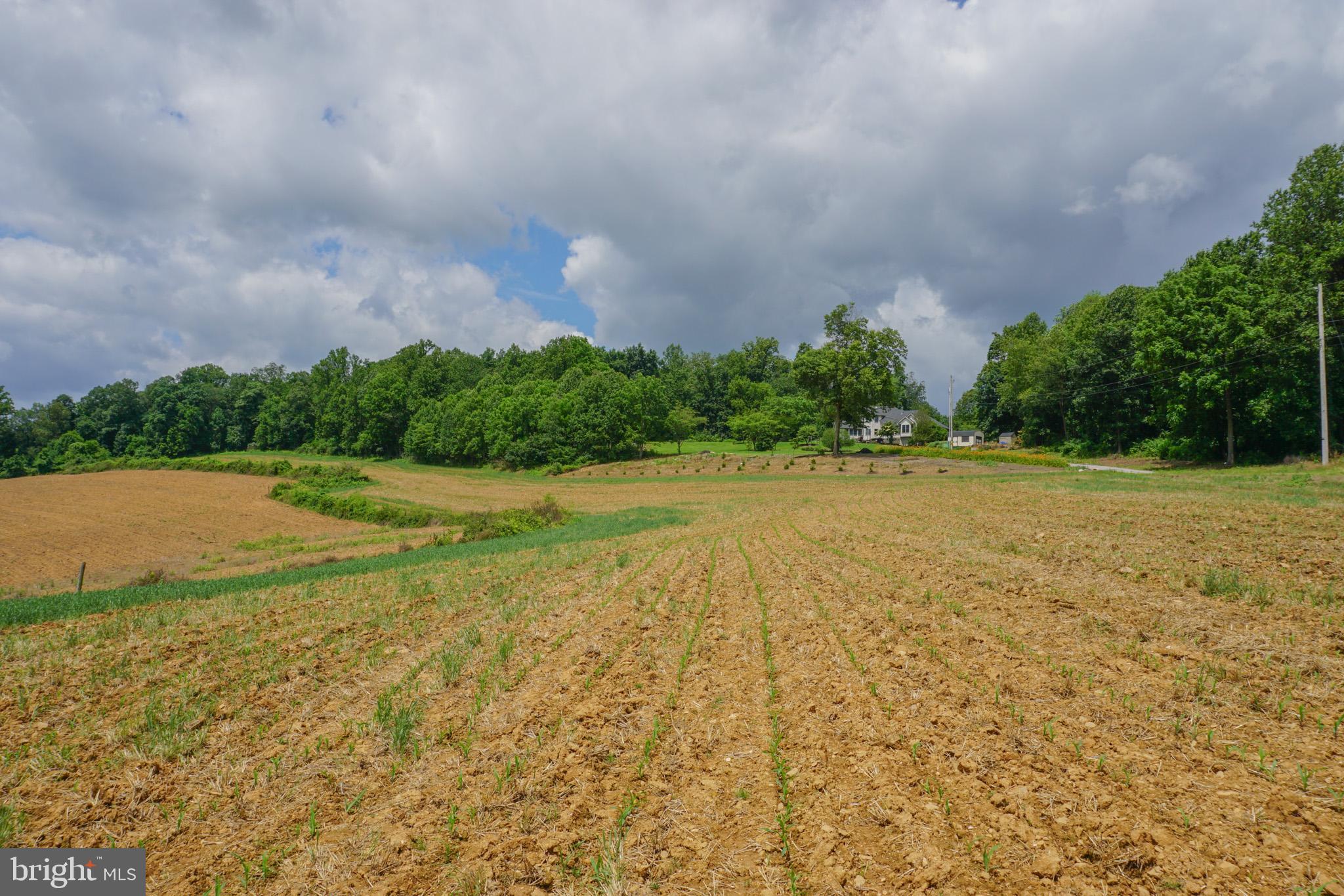 4815 Zeiglers Church Road Spring Grove, PA 17362 - Photo 123 of 126