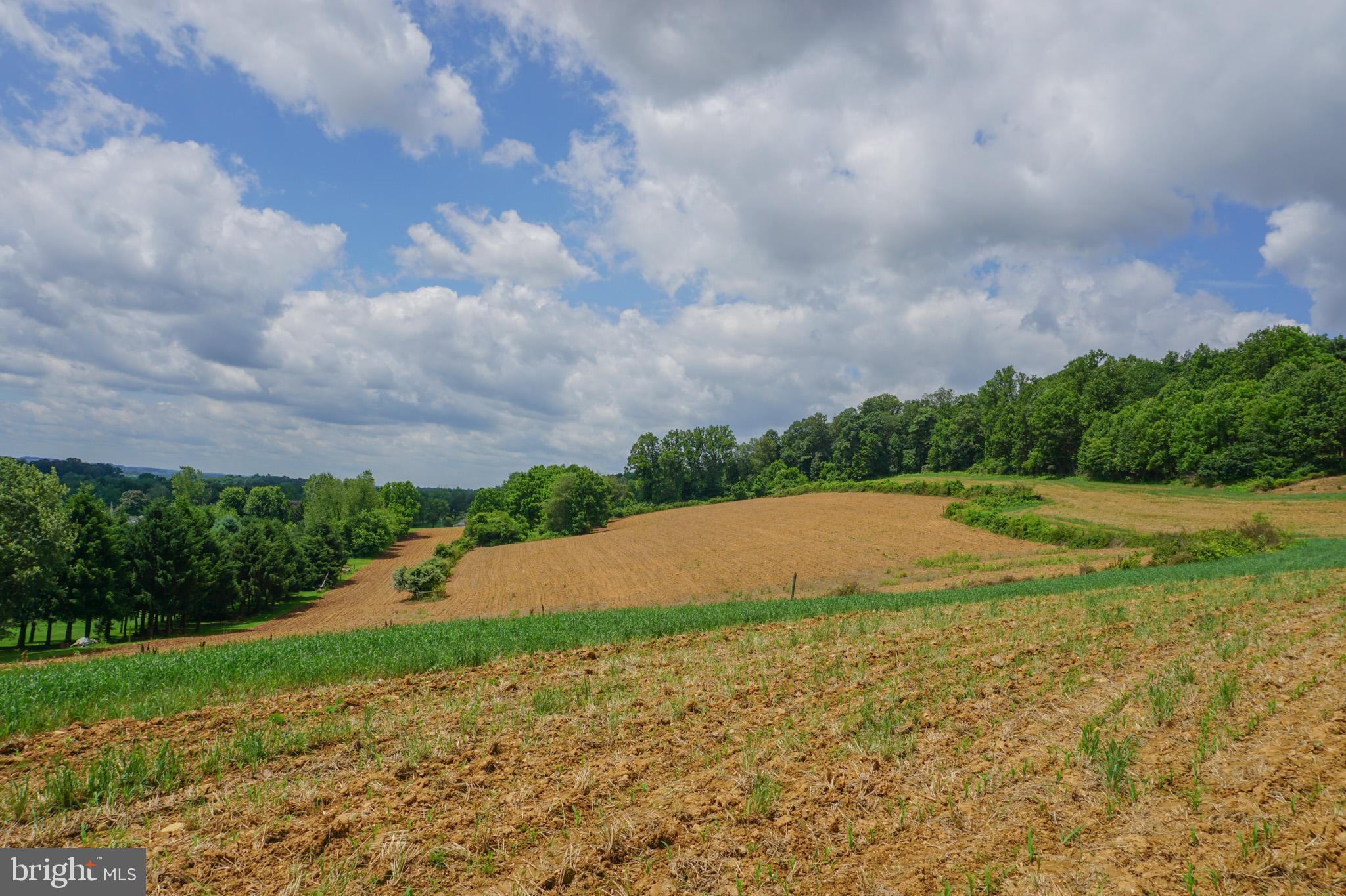4815 Zeiglers Church Road Spring Grove, PA 17362 - Photo 124 of 126