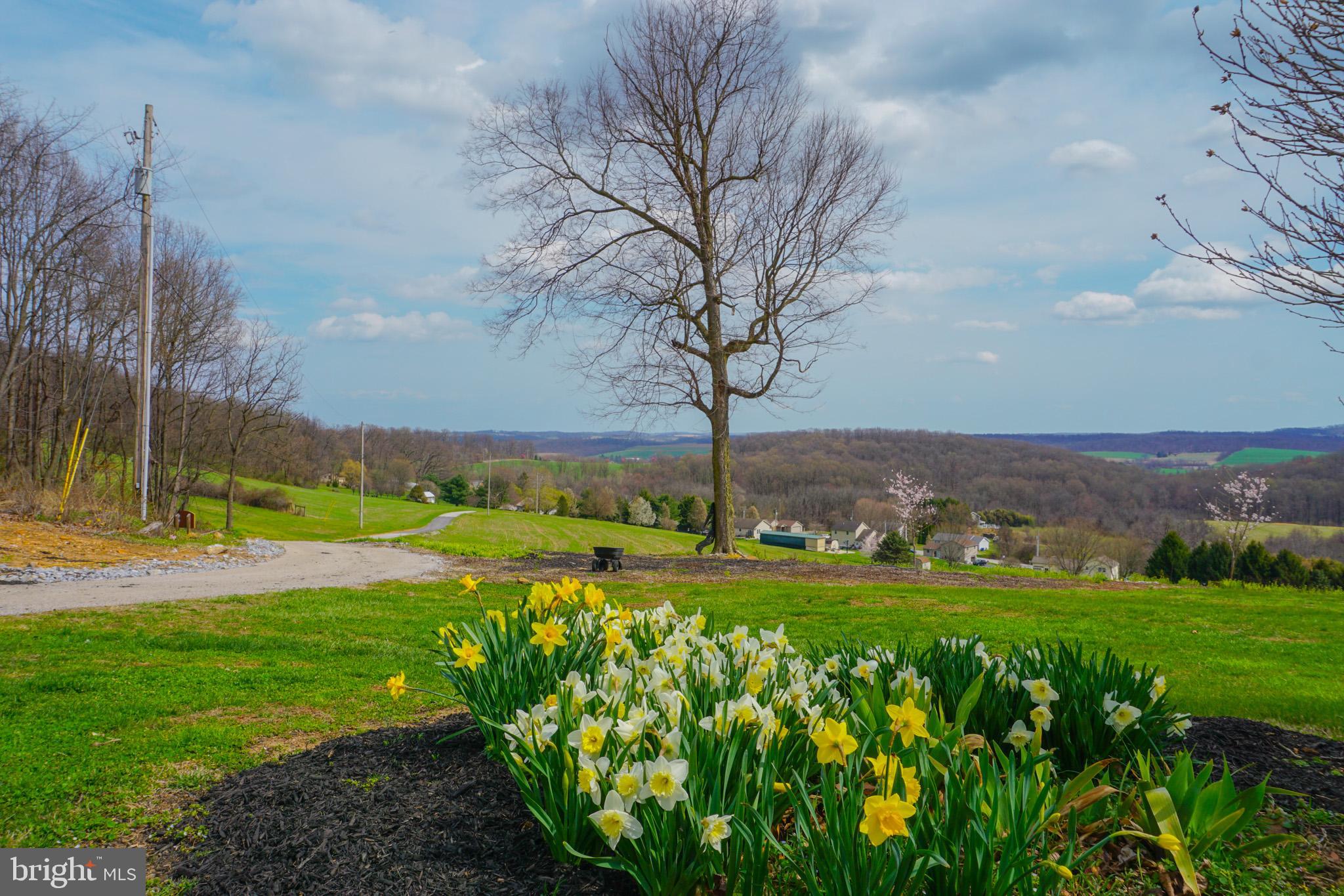 4815 Zeiglers Church Road Spring Grove, PA 17362 - Photo 7 of 126