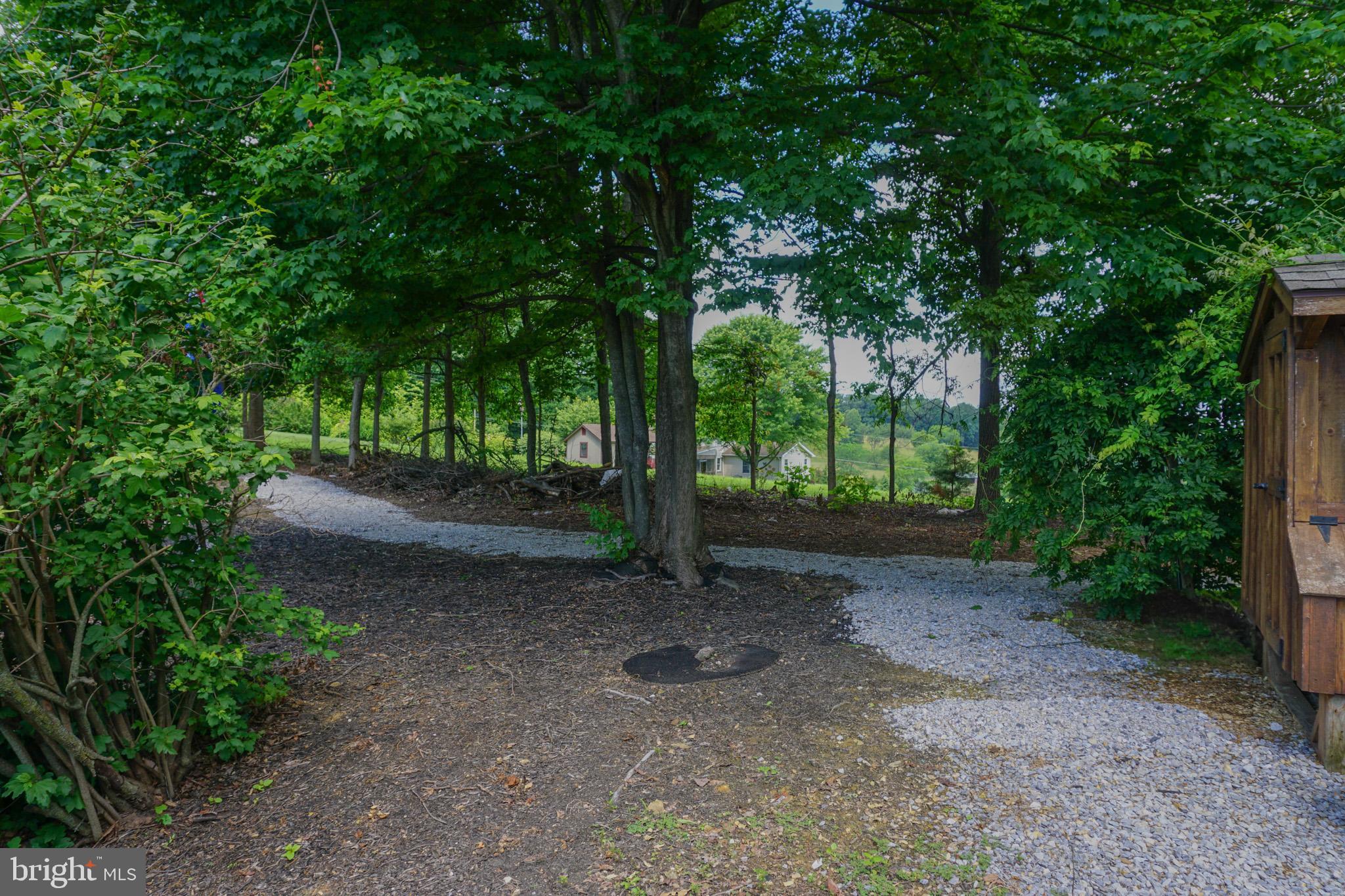 4815 Zeiglers Church Road Spring Grove, PA 17362 - Photo 97 of 126 a view of a forest with trees in the background
