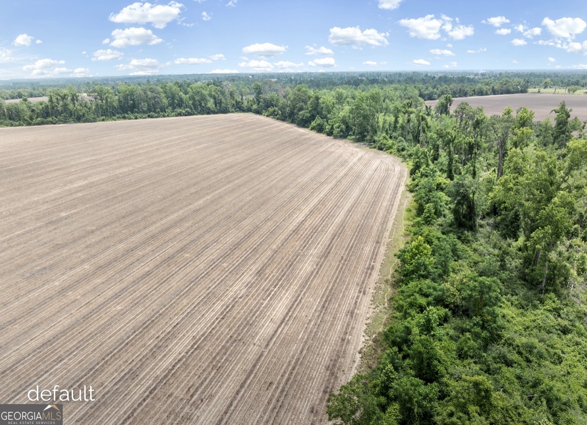 648 Old Kibbee Road North Vidalia, GA 30474 - Photo 12 of 18