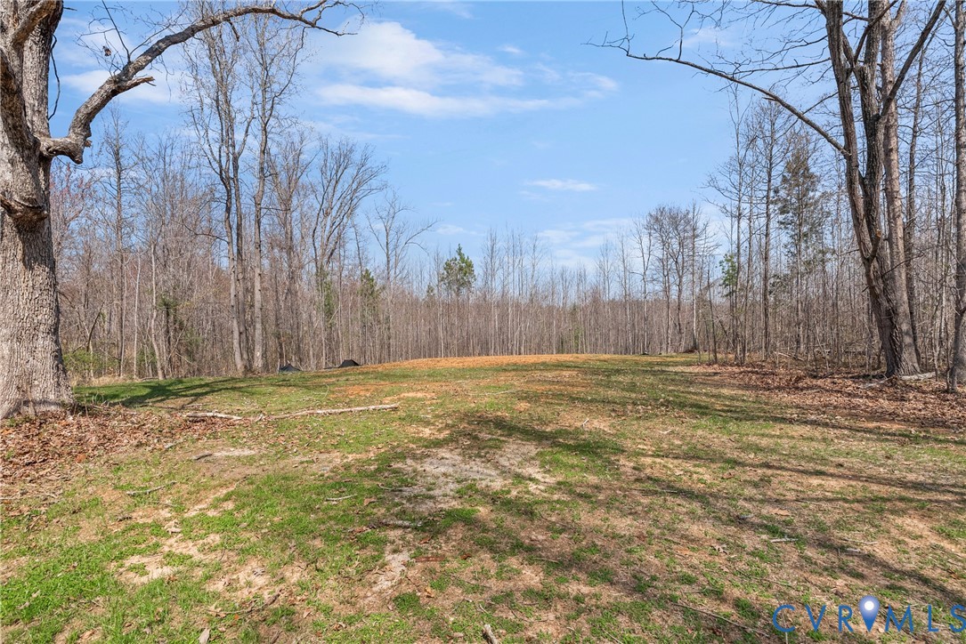 4316 Mt Airy Road Louisa, VA 23093 - Photo 39 of 45 a view of a yard